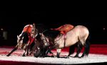 2009_01_03_02580_~0.jpg