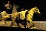 2009_01_03_02919_~0.jpg