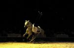 2009_01_03_02951_~0.jpg