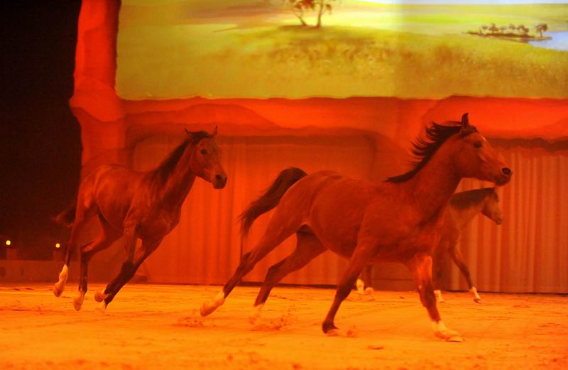 2010_01_09__01375_.jpg