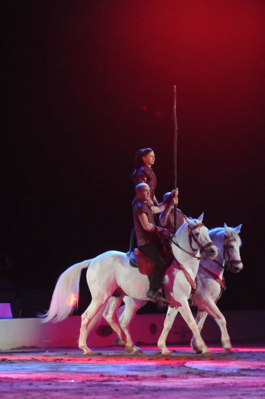 2011_01_08_00180.jpg