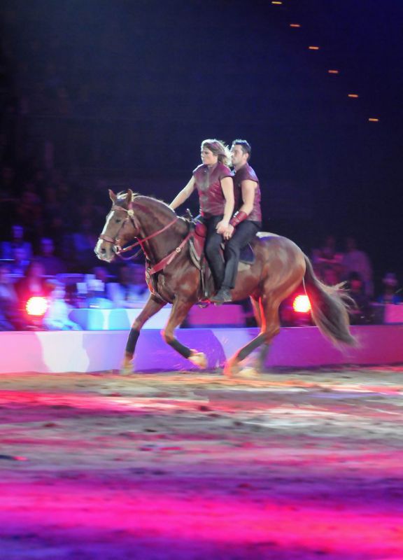 2011_01_08_00400.jpg