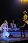 2011_01_08_01096.jpg