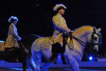2011_01_08_01134.jpg