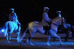 2011_01_08_01217.jpg