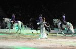 2011_01_08_02158.jpg