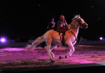2011_01_08_02348.jpg