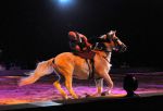 2011_01_08_02351.jpg
