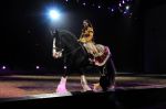 2011_01_08_03984.jpg