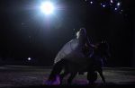 2011_01_08_04100.jpg