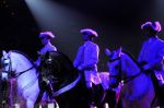 2011_01_08_04232.jpg