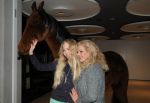 2011_01_08_04447.jpg
