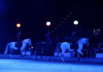 2012_01_07__08114.jpg