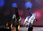 2012_01_07__09116.jpg