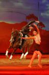 2012_01_07__106470.jpg