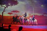2012_01_07__10718.jpg