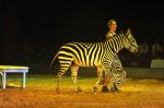 2012_01_07__10963.jpg