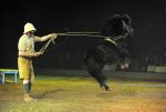 2012_01_07__10992.jpg