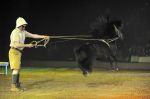 2012_01_07__10993.jpg
