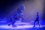 2012_01_07__11162.jpg