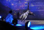 2012_01_07__112680.jpg