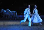 2012_01_07__11892.jpg