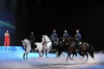2012_01_07__12059.jpg