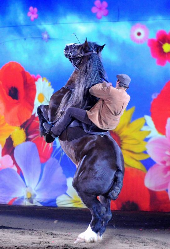 2013_01_06_105120.jpg