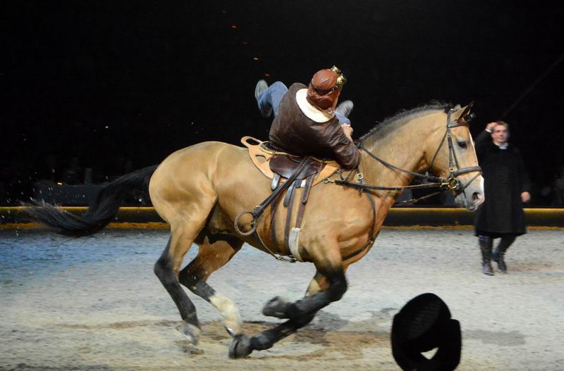 2015_01_04_02313.jpg