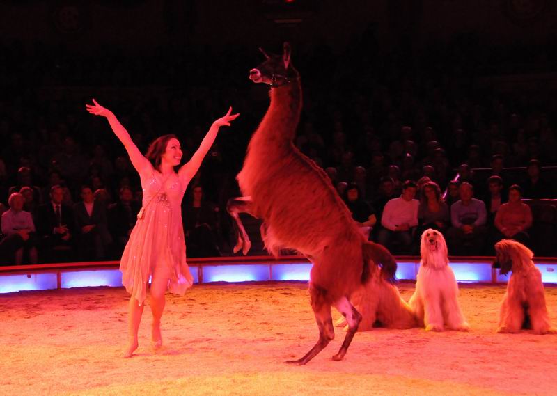 2010_12_25_00278.jpg