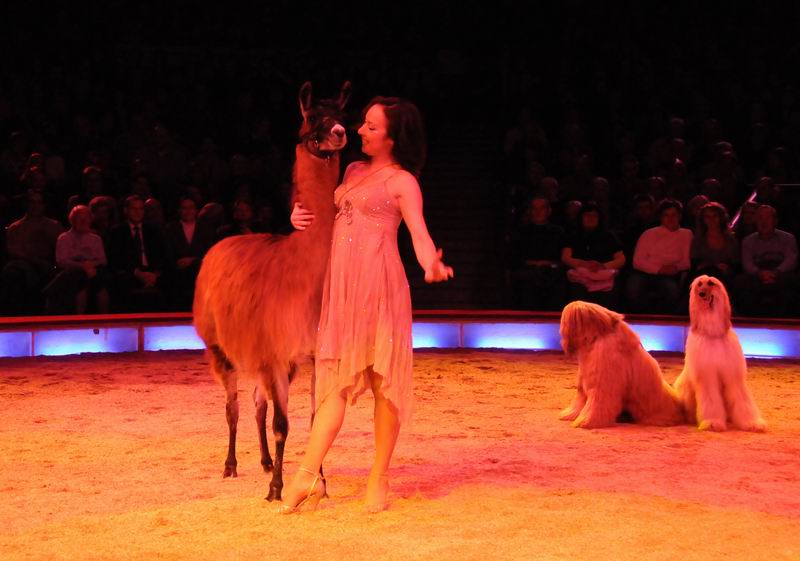 2010_12_25_00291.jpg