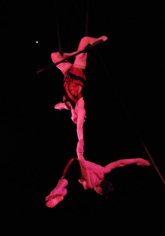 2010_12_25_01570.jpg