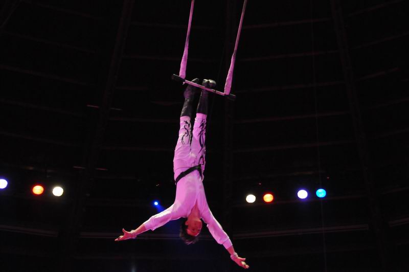 2010_12_25_02979.jpg