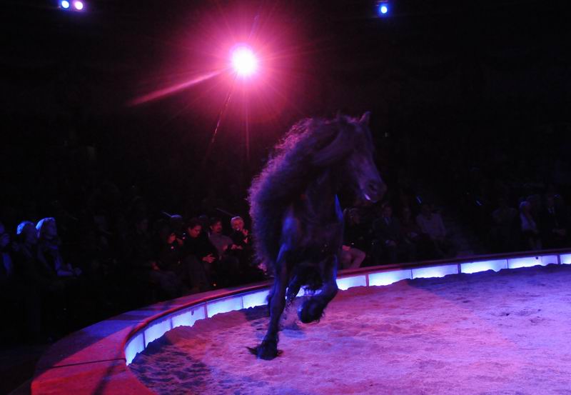 2010_12_25_03228.jpg