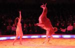 2010_12_25_00397.jpg