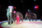 2010_12_25_01285.jpg