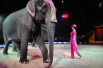 2010_12_25_01291.jpg