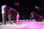 2010_12_25_01367.jpg