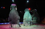 2010_12_25_01466.jpg
