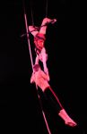 2010_12_25_01567.jpg