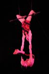 2010_12_25_01575.jpg