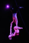 2010_12_25_01637.jpg