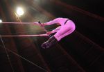 2010_12_25_02974.jpg