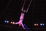 2010_12_25_02978.jpg