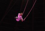 2010_12_25_02983.jpg
