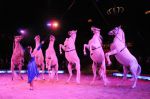 2010_12_25_03137.jpg