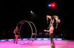 2010_12_25_03674.jpg