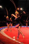 2010_12_25_04886.jpg