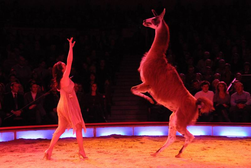 2010_12_25_00395~0.jpg