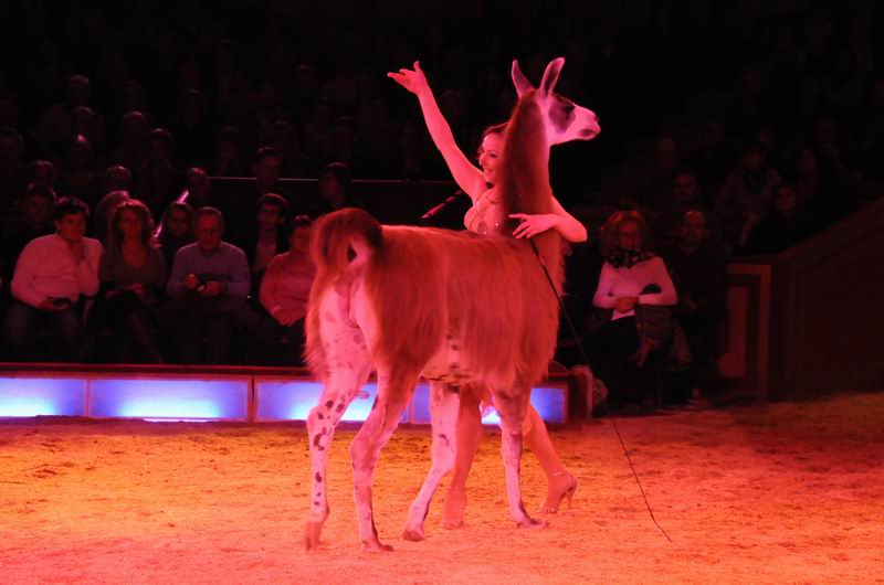 2010_12_25_00417~0.jpg